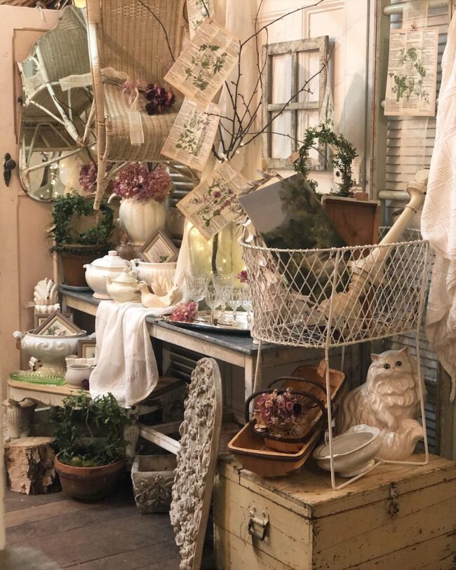 Charming Retro Floral Showcase