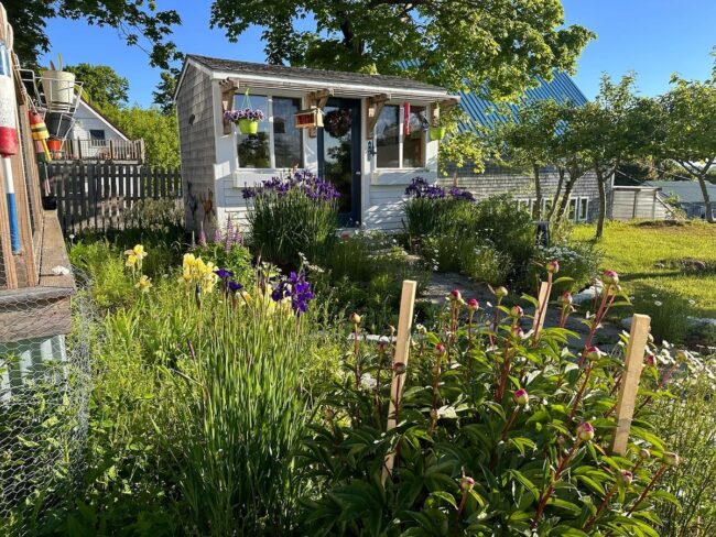 Garden View Shed with Coastal Charm