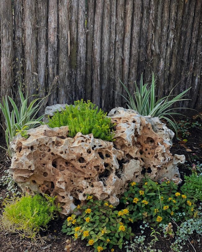 Garden Accents Inspired by Nature's Beauty