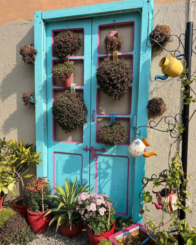 Colorful Door Frame Planter Showcase