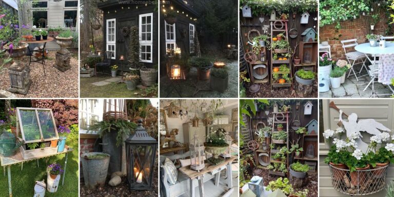 Best Rustic Garden Decor Ideas